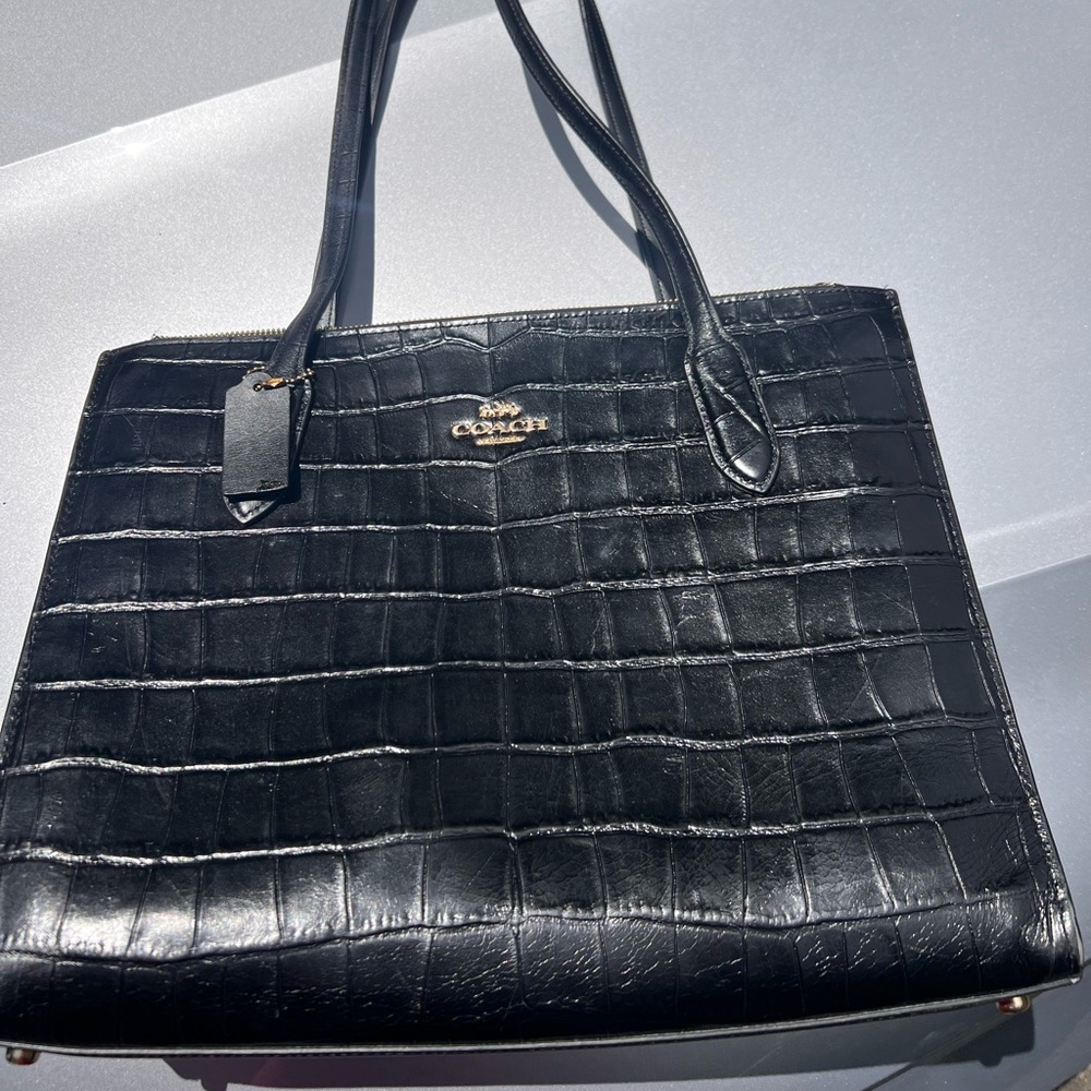 Coach Nina Tote Bag